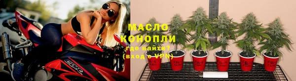 гидра Семёнов