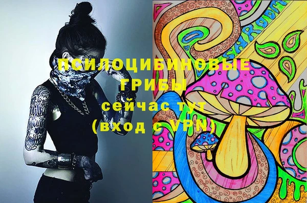 ешки Алексеевка