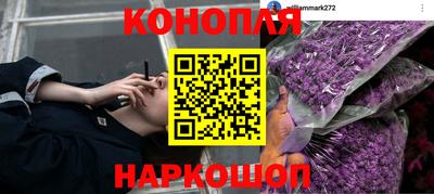 эйфоретик Абакан