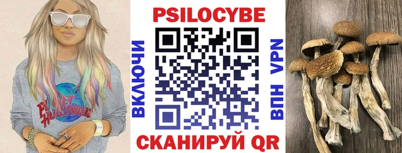 где продают   Апатиты  Галлюциногенные грибы MAGIC MUSHROOMS 