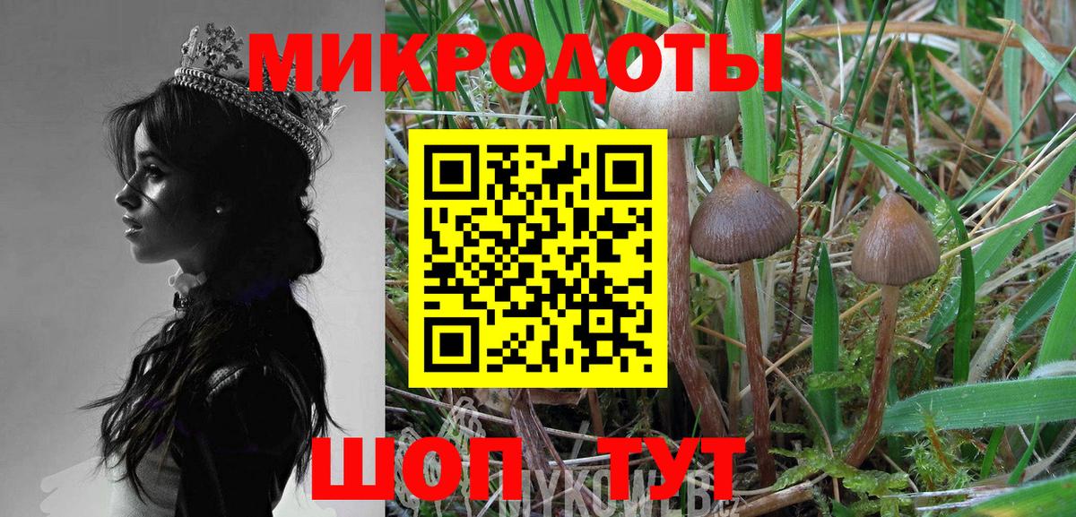 Галлюциногенные грибы прущие грибы  Вход с VPN  Псилоцибиновые грибы GOLDEN TEACHER  Апатиты 