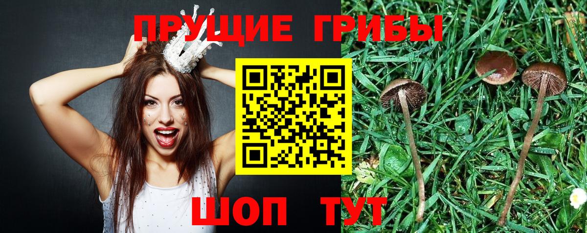 Псилоцибиновые грибы MAGIC MUSHROOMS  Вход с VPN  Апатиты 