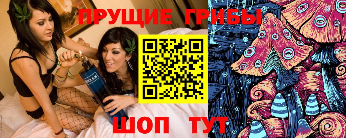 Псилоцибиновые грибы Psilocybine cubensis Апатиты