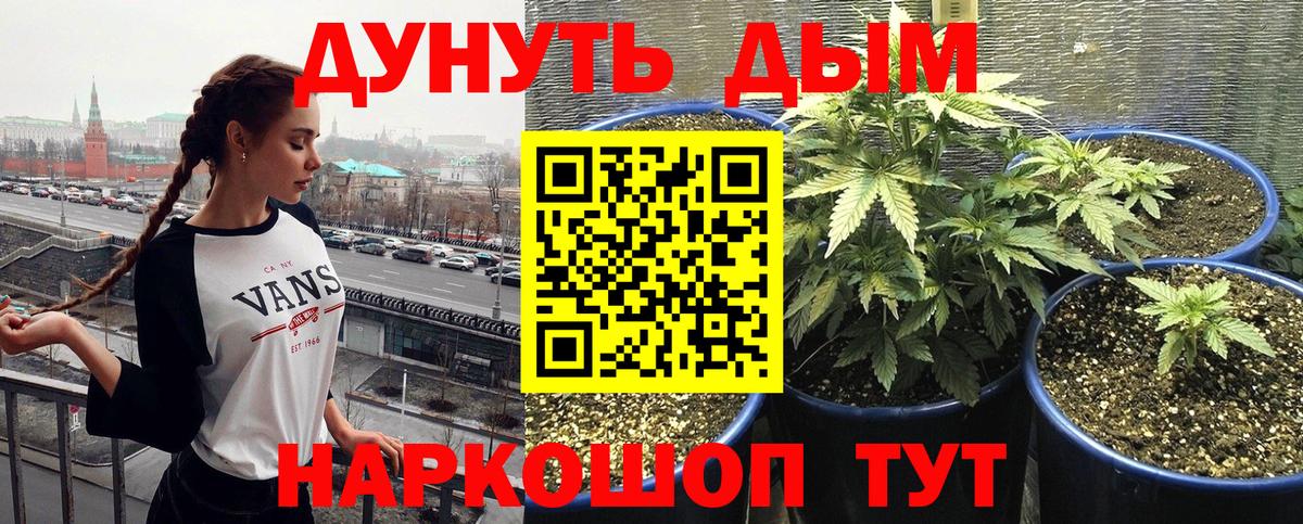 Шишки марихуана THC 21% Апатиты